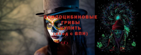 амф Арсеньев