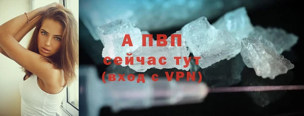 амф Арсеньев